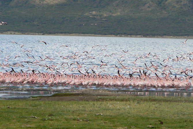 The Great Rift Valley Tour - L Bogoria, L Nakuru, L Naivasha and Hellsgate NP - Inclusions and Pricing Details