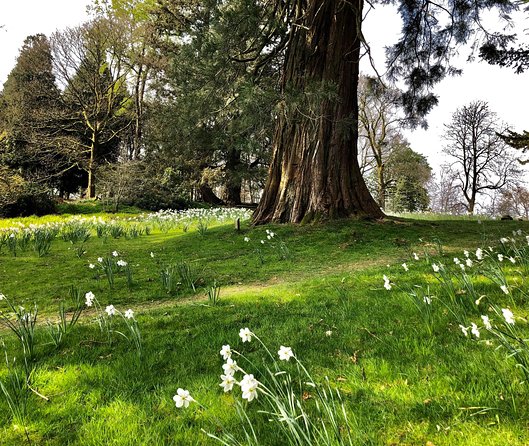 The Lake District Tour From Liverpool Including Lake Cruise - Scenic Landscapes and Experiences