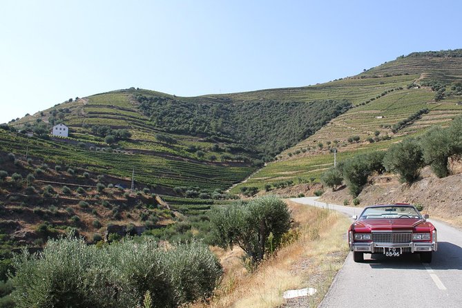 The Luxury Douro Tour - Transportation Convenience