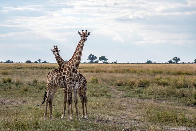 The Mosi Oa Tunya National Park Game Drive - Pickup Locations and Options