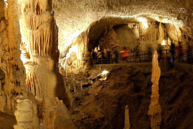 The ŠKocjan Caves - World Heritage (Up to 8 Persons) - Tour Schedule and Availability