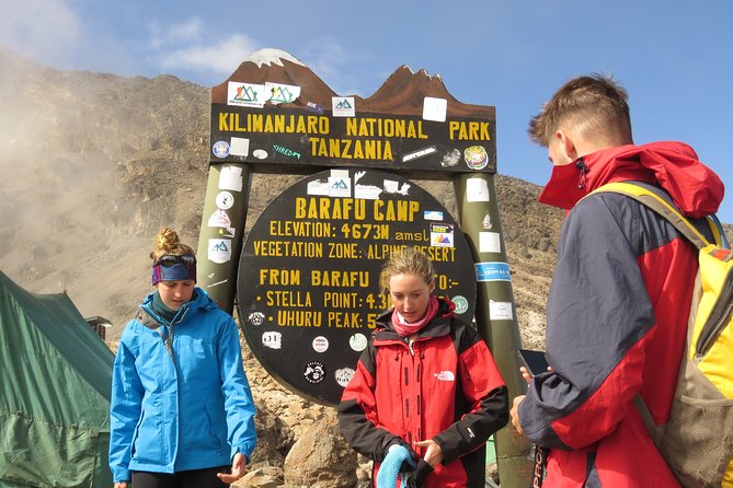 The Ultimate 8-Day Lemosho Route Climbing Kilimanjaro - Tips for a Successful Climb