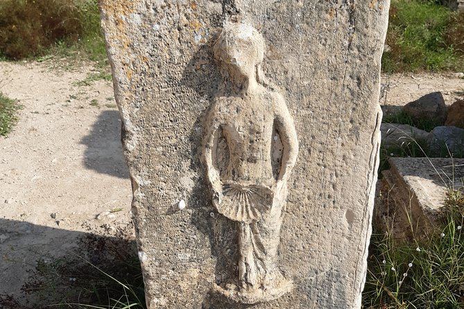 Thuburbo Majus Uthina and Zaghouan Roman Sites Tour From Tunis or Hammamet - Traveler Feedback and Recommendations