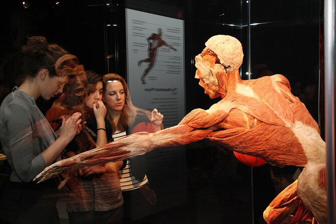 Ticket Expo Body Worlds Review: A Fascinating Experience - Recommended Audience