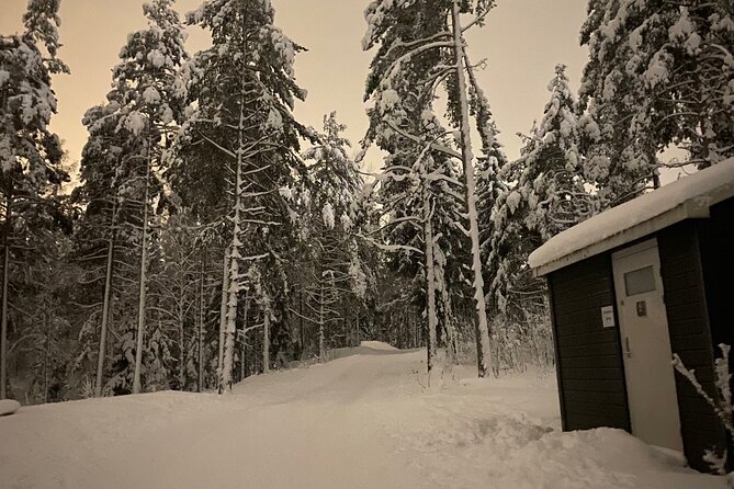 Top of Oslo/Starlight Evening Snowshoeing Tour(s) - What to Expect on the Tour