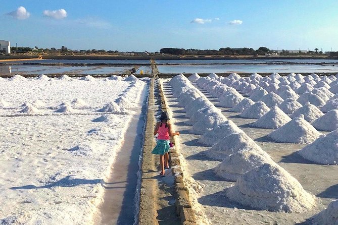 Tour From Palermo to Segesta, Erice, Trapani and Salt Pans - About the Tour Provider