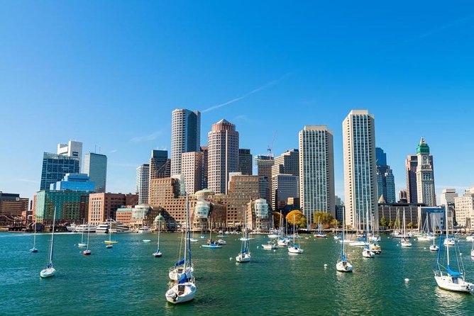 Tour-In-Four -- a Private Four Hour Walking & Driving City Tour - Engaging Tour Experience