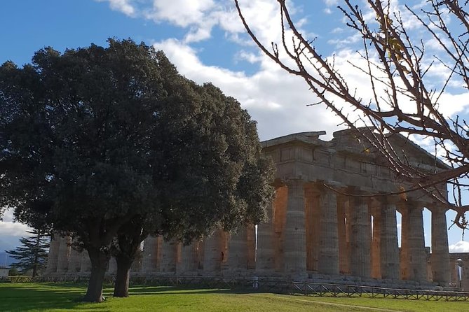 Tour in the Ruins of Paestum With an Archaeologist - Accessibility and Policies
