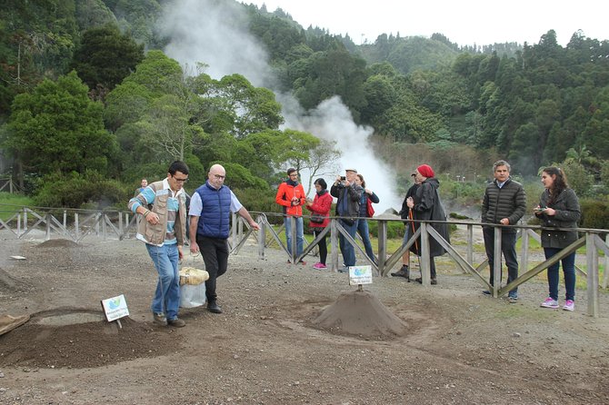 Tour to Furnas and Terra Nostra Garden - Full Day - Gorreana Tea Plantation Visit