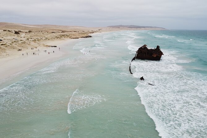 Tours in Boa Vista Island - Traveler Experiences and Feedback