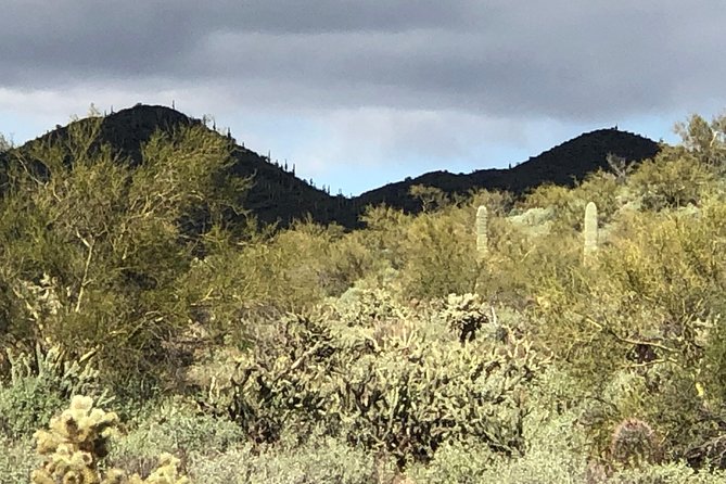 Trail Riding for the Individual or Group. Best Trail Rides Anywhere in Arizona. - Highlights of the Trail Rides
