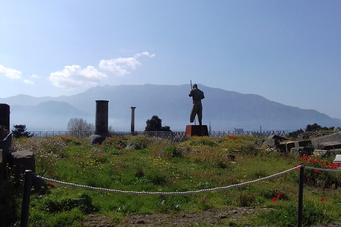 Transfer From Naples Area to Sorrento With 2hr Stop in Pompeii - Customer Feedback and Ratings
