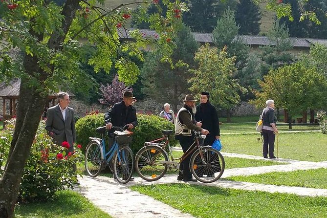 Transylvania & Bucovina Private Tour - 6 Days - Customer Reviews
