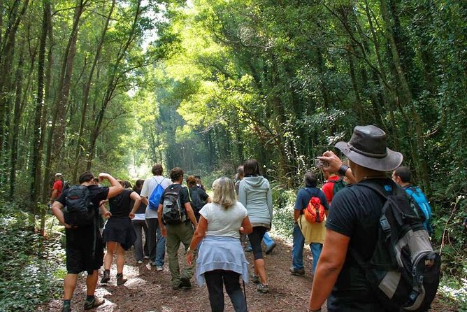 Trekking in Portugal: Serra De Sintra Natural Park - Health and Accessibility