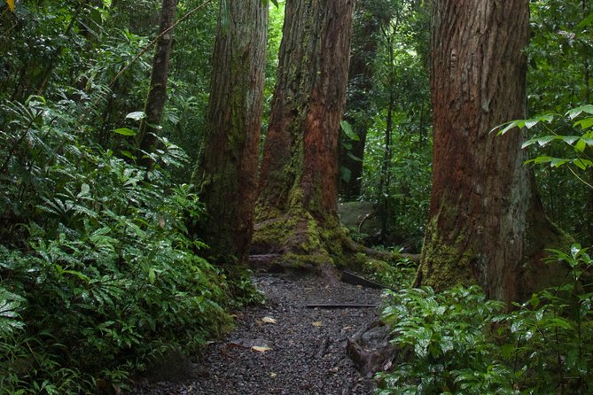 Tropical Adventure Package - Meeting and Pickup Details