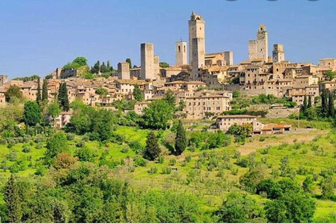 Truffle Hunting - Tour Highlights and Information