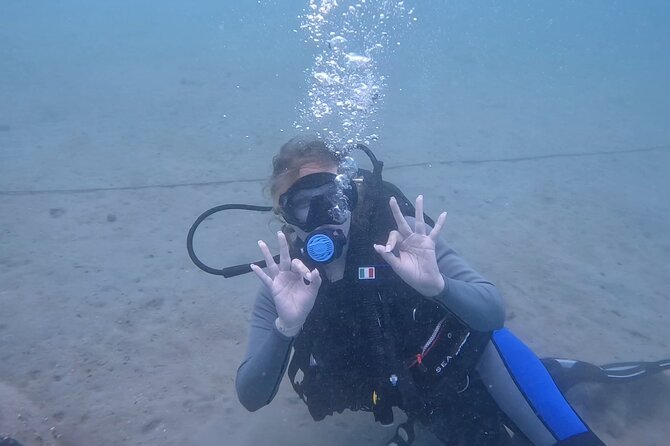 Try Scuba Dive in Qatar - Positive Reviews