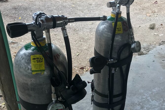 Tulum Cenote Dive Two Eyes Experience - Diving Equipment