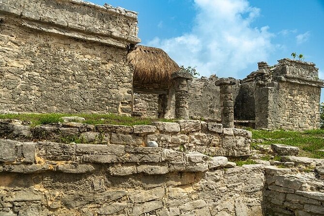 Tulum Cenote & Snorkeling Turtles | No Extra Fees - Explore the Wonders of Tulum
