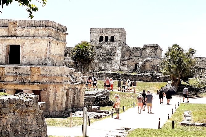Tulum & Coba With Cenote, Buffet Lunch & Tastings - Customer Feedback