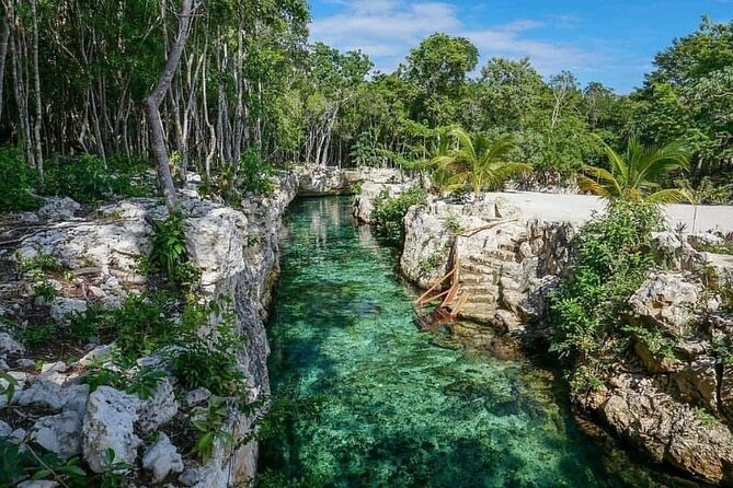 Tulum Ruins Cenotes House Turtle and Mother Nature - Casa Tortuga Cenotes Sanctuary