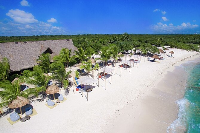 Tulum, Snorkeling With Sea Turtles, Cenote and Beachside Lunch - Constructive Criticism