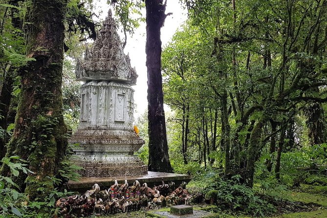 Two Days Doi Inthanon National Park and Karen Trekking - Reviews and Feedback