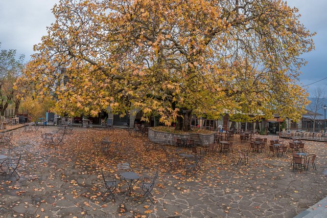 Tzoumerka Villages Tour (1 Day) - Flexible Planning