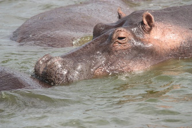 Uganda Wildlife Holiday - 8 Days - Cancellation Policy