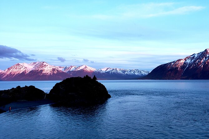 Ultimate Anchorage Winter Wildlife & Sunset Tour - Travelers Praise for Exceptional Tour Experience