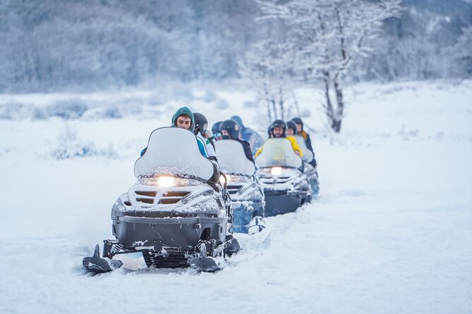 Ushuaia: Full Day Snow: Sledding With Huskies Snowmobile 4x4 - Lunch and National Park Entrance