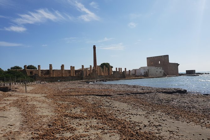 Vendicari - Sicilys Best Coast Nature Reserve ( Birdwatching & Archeology ) - Traveler Experiences and Photos