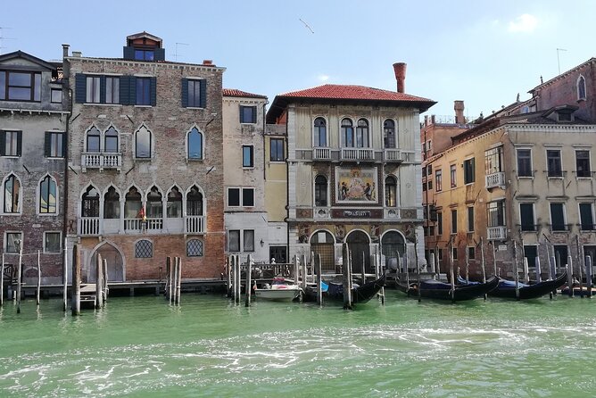 Venice in 1 Day WOW Tour Review - Experience Highlights