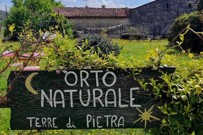 Verona - Cellar Tour and Tasting of NATURAL WINES - Experiencing the Winemakers Passion