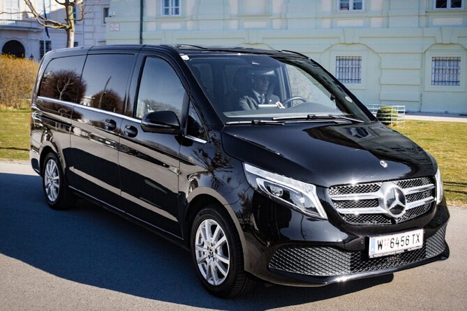 Vienna Airport Private Arrival Transfer - Accessibility and Restrictions