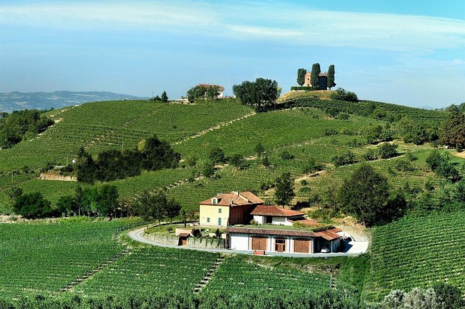 Visit Among Vineyards and Wine Cellar With Wine Tasting in Nizza Monferrato - Highlights of the Tour