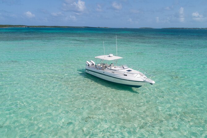 Visit the Ocean Swings! Full Day Harbour Island Private Boat Tour - Accessibility and Restrictions