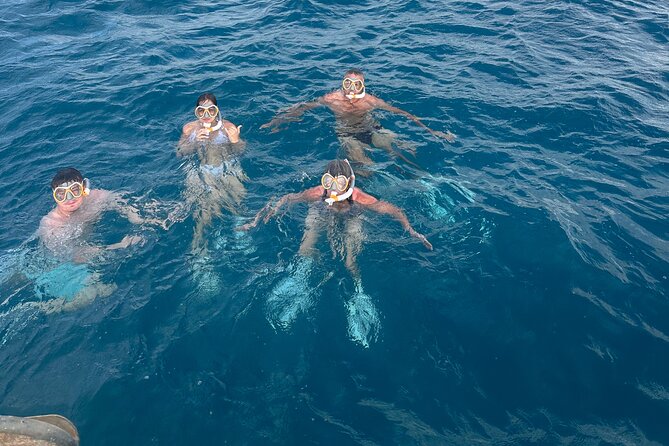 Waikiki Small Group Turtle Snorkeling & Sailing - Suitability and Feedback