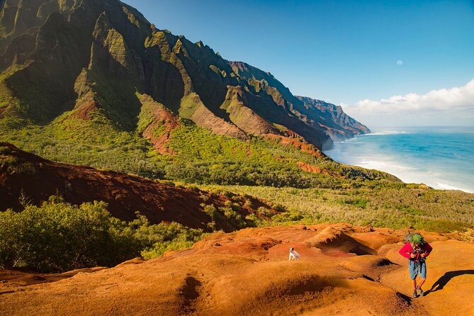 Waimea Canyon Private Tour With Local Guide - Guest Feedback and Considerations