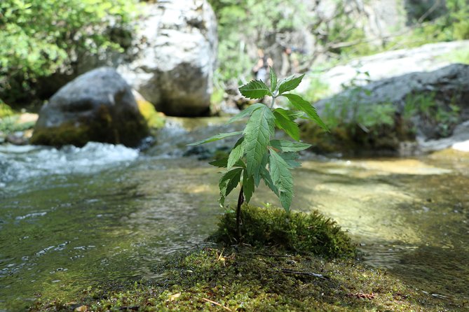 Walking Into Enipeas Gorge! - Midday Break and Refreshments