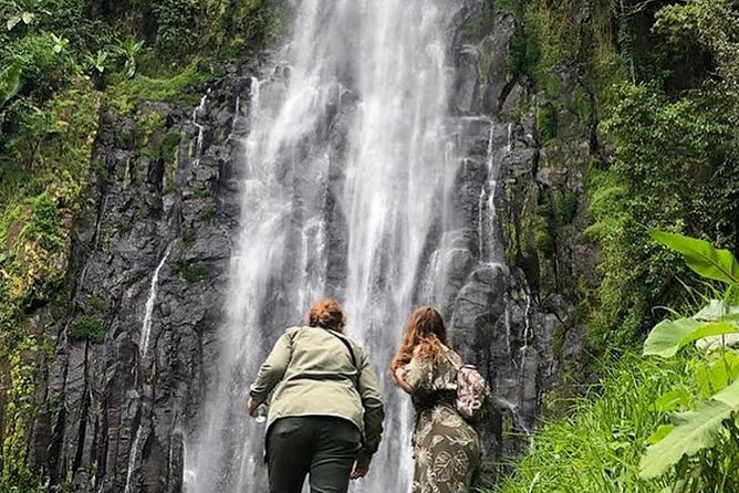 Waterfall & Coffee Walking Tour - Pickup and Meeting Details