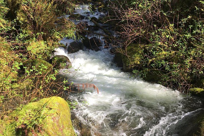 Waterfall Wonderland Hike With Transport - Tips for a Great Experience