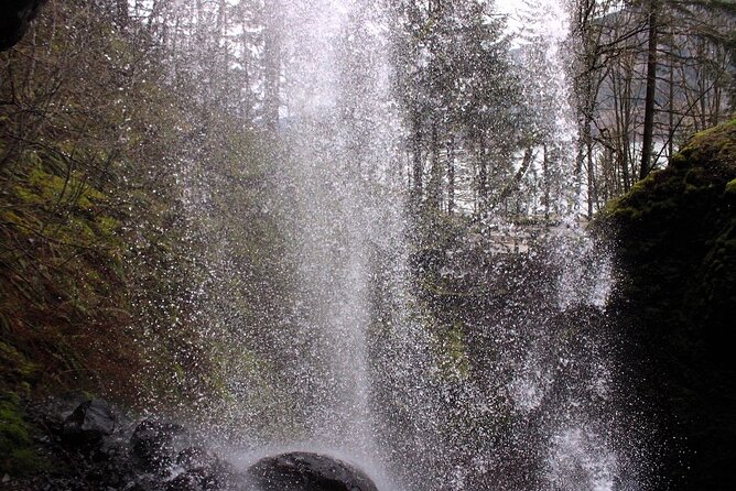 Waterfalls & Waterfront E-Bike Tour on Car-Free Bike Path - Customer Reviews and Feedback