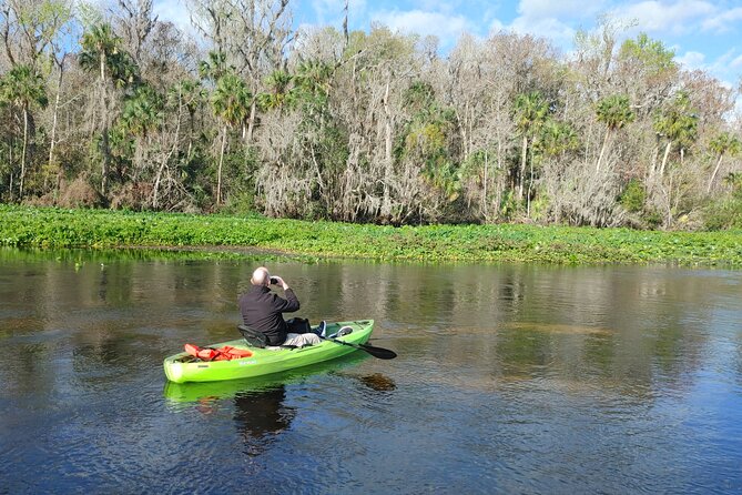 Wekiva Wildlife Kayaking Adventure Tour - Tour Experience Overview