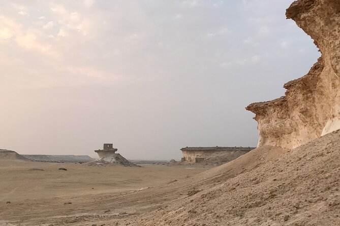West Coast and Camel Race Track Visit - Zekreets UNESCO Biosphere Reserve