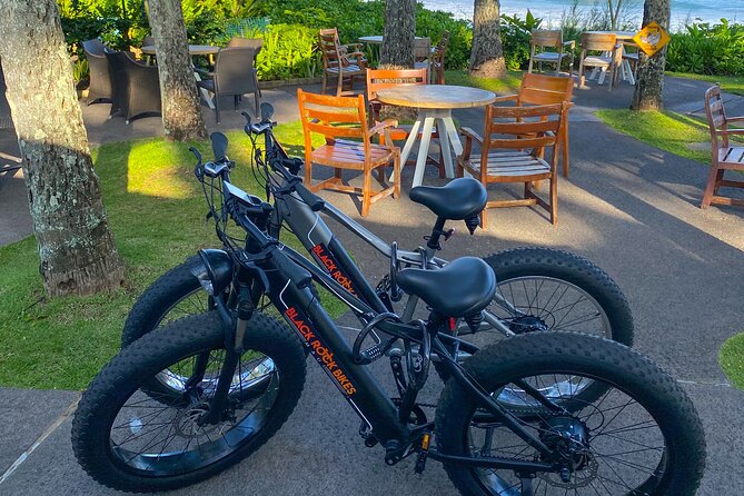 West Maui Electric Bike Rentals - Sum Up