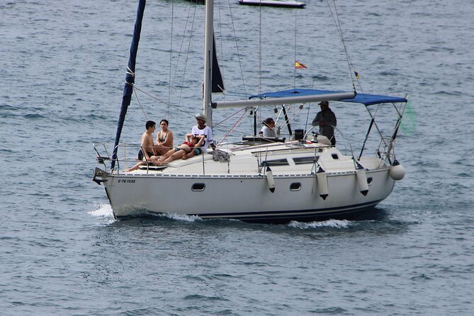 Whale & Dolphin Watching Boat Trip in Tenerife On a Sailing Boat (3 Hr) - Booking Confirmation and Accessibility