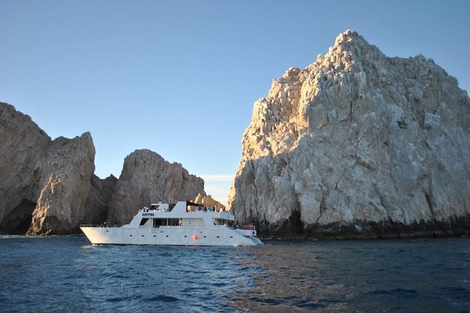 Whale Watching Cruise in Los Cabos - Safety and Cleanliness Measures