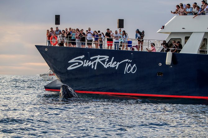 Whale Watching Dinner Cruise in Cabo San Lucas - Booking and Cancellation Policy