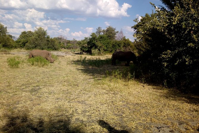 White Rhino Walk in the Mosi Oa Tunya - Booking Process Details